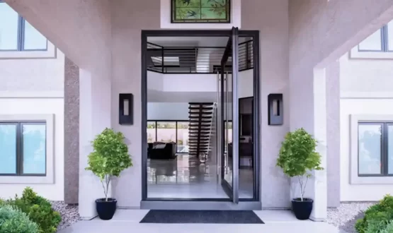 Pivot Doors Different from Standard Options 1